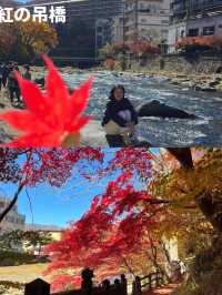 【秋の魅力が存分に楽しめる🍂那須旅💐】