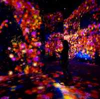 Tokyo Teamlab Borderless
