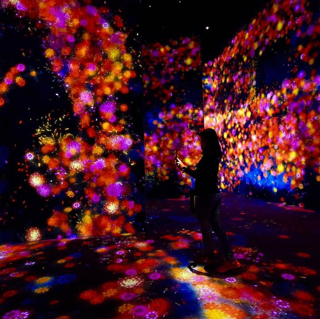 Tokyo Teamlab Borderless
