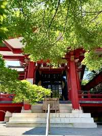 【東京都】眼病平癒ご利益ある神社