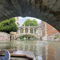 Discover The Charms of Cambridge: A Half-Day Tour Through History and Academia