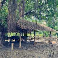 เมืองจำลองโบราณ เมืองมัลลิกา