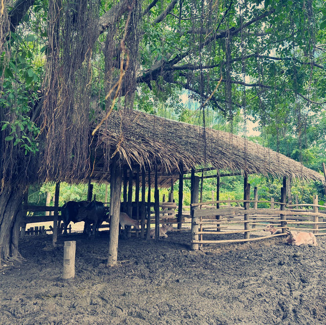 เมืองจำลองโบราณ เมืองมัลลิกา