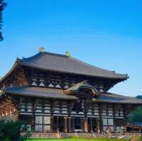日本大阪｜奈良景點「東大寺」