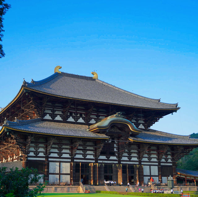 日本大阪｜奈良景點「東大寺」