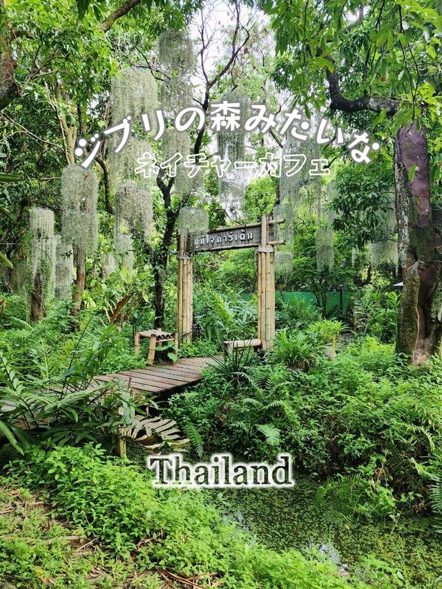 まるでジブリの森？自然カフェ【バンコク】