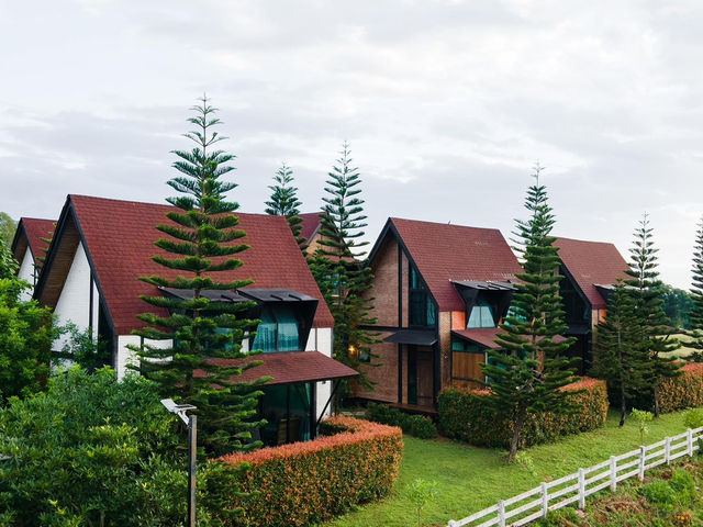 OXY Resort