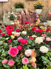 香港公園🫶🏻期間限定香花展覽‼️週末好去處