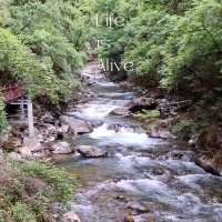 Niru waterfall น้ำตกลับแห่งแชงกรีลา!✨️