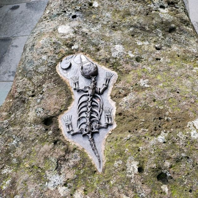 St Patrick's Catherdal  