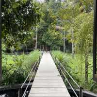 พิกัดคาเฟ่แนวบ้านสวน ร้านสวย