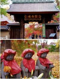 【東京 自由が丘】紅葉絶景スポットと古民家カフェ