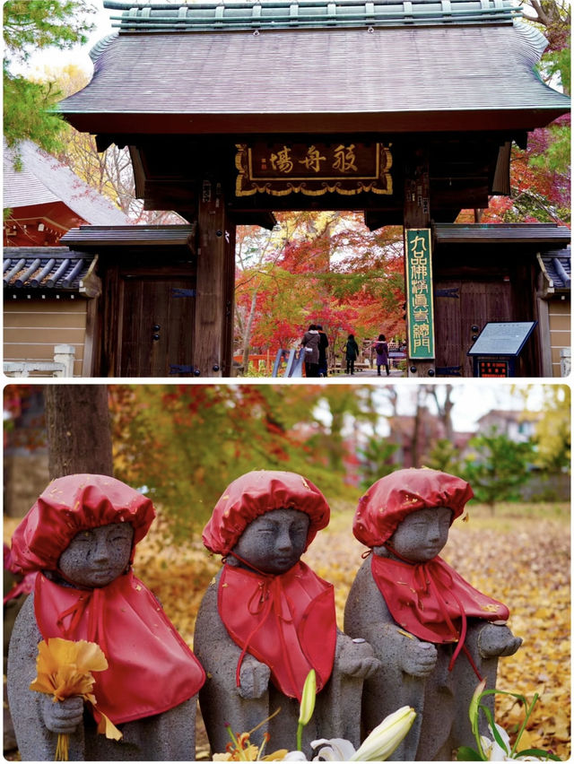 【東京 自由が丘】紅葉絶景スポットと古民家カフェ