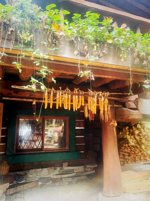 【長野県/原村　八ヶ岳の大自然を満喫！手作りハウスからオーガニック野菜まで楽しめる場所】