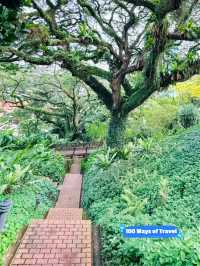🇸🇬 Exploring the Garden City: A Visit to Fort Canning Park, Singapore