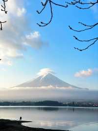 ชมวิวฟูจิหน้าหนาว ที่ริมทะเลสาบคะวะงุชิ 🗻🏞️