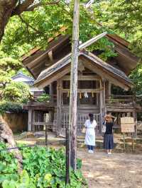 【島根🇯🇵】出雲大社で歴史を感じよう