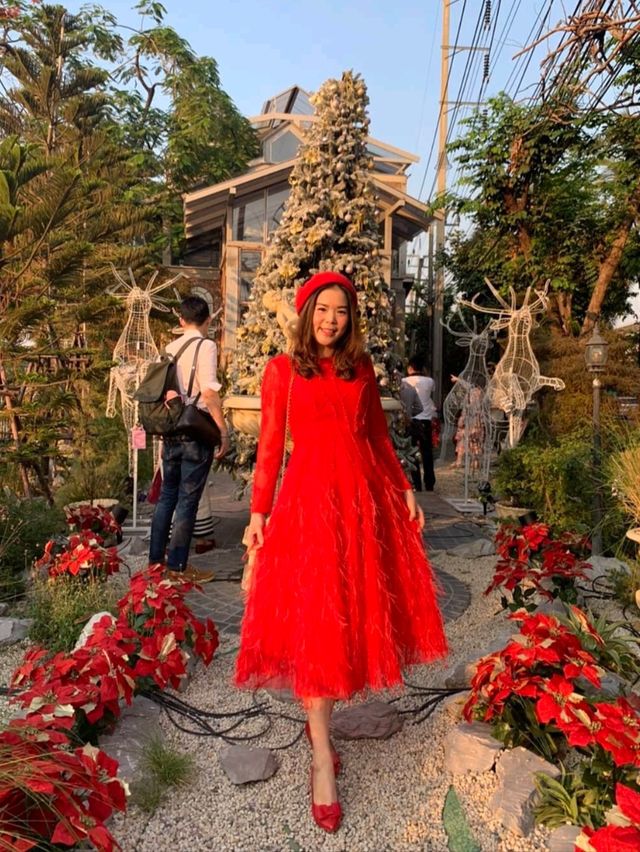 B-Story Garden Cafe & Restaurants