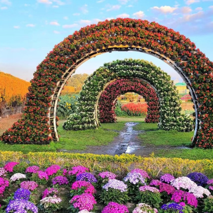 Zhongshe flower market taichungのおすすめ観光スポット2026年（2月