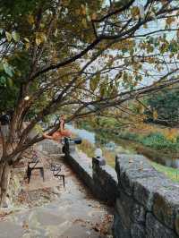 가을무드 제대로 즐기는 담양 당일치기 여행코스 🍂