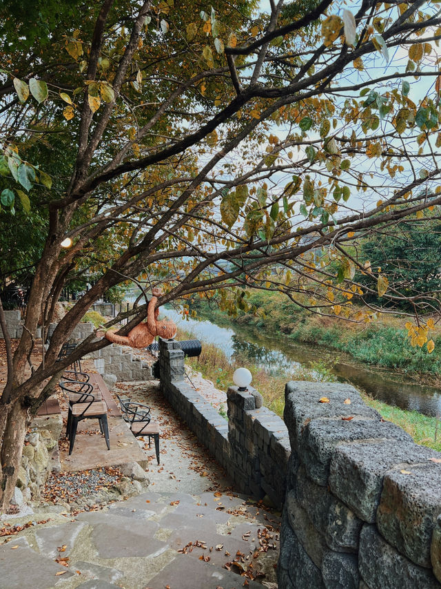 가을무드 제대로 즐기는 담양 당일치기 여행코스 🍂