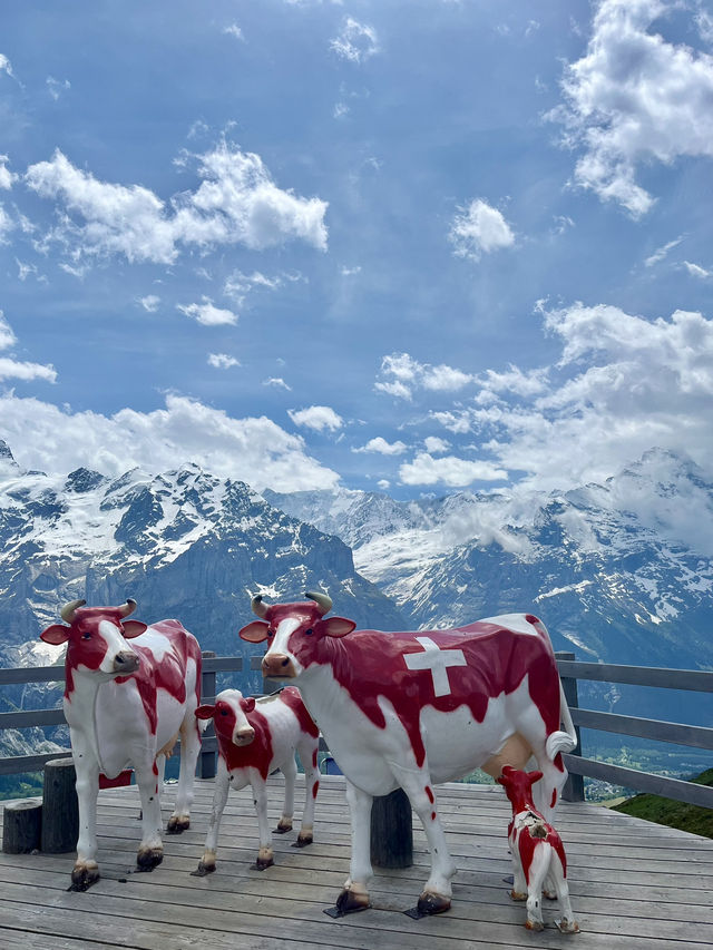瑞士🇨🇭｜First山上各種活動🏔️私心推薦必玩卡丁車🏎️🛴