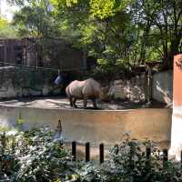 東京景點｜日本最古老的親子動物園—恩賜上野動物園
