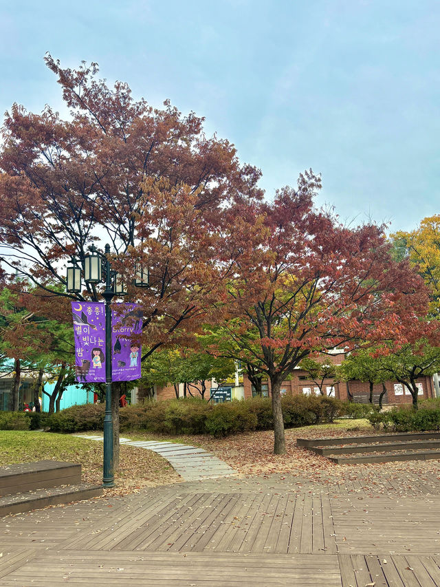 아이들이 뛰어놀면서 배울 수 있는 별들재 교육관💙