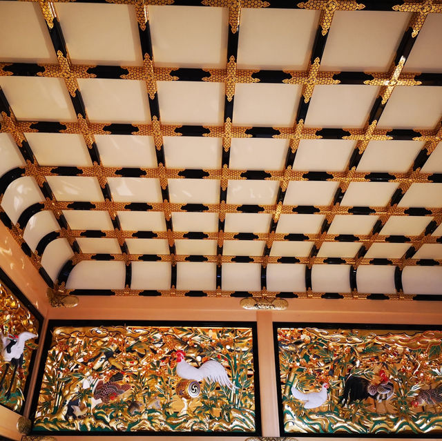 Timeless Beauty and Golden Charm: Exploring Nagoya Castle!