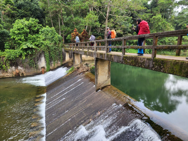 สายรุ้งละอองดาว ที่เดินป่าภาคใต้🌳🌵