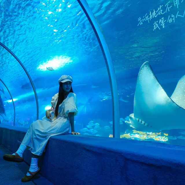 พาเที่ยวอควาเรียมกวางโจวZhengjia Polar Ocean World