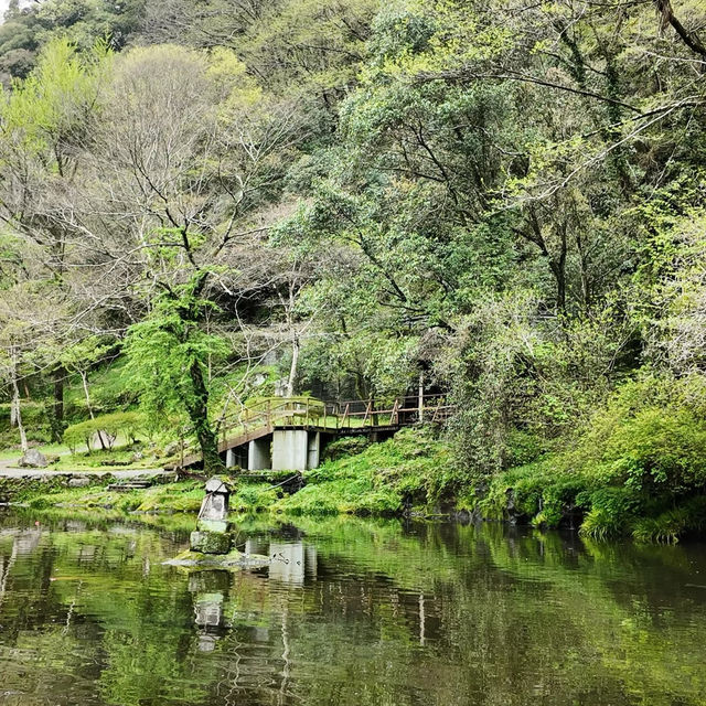 錐麓古道：綠野中的歷史足跡 🌿🚶‍♂️
