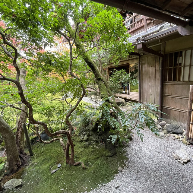 【日本・京都🇯🇵】京都の秋！美しい紅葉を見るならここ！