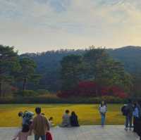 A Journey Through Traditional Korean Art and Serenity