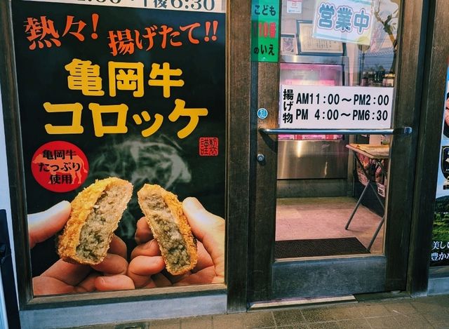 【嵯峨野トロッコ列車でのんびり旅♪保津峡から亀岡へ】