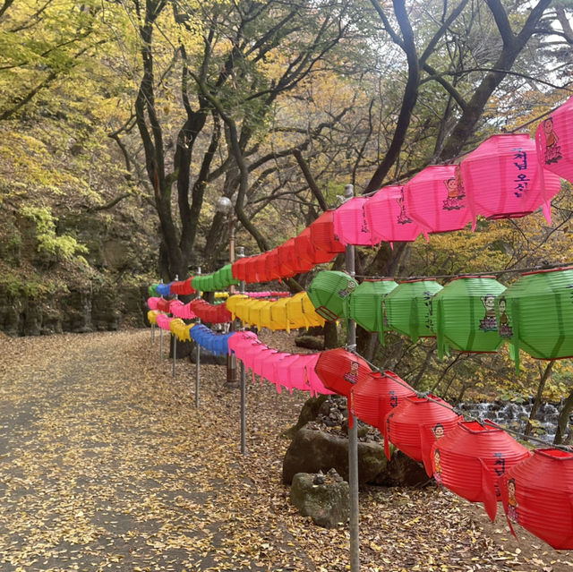 영천 최고의 사찰, 은해사에서 은혜로운 휴일을