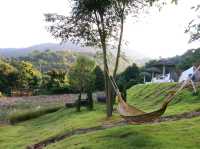 เที่ยวชมทุ่งคอสมอสที่ Margaret Private Villa 