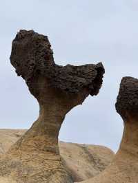Nature, look what you’ve done! Exploring the Wonders of Yehliu Geopark
