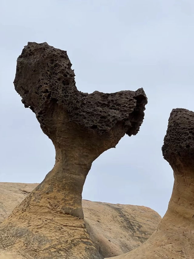 Nature, look what you’ve done! Exploring the Wonders of Yehliu Geopark