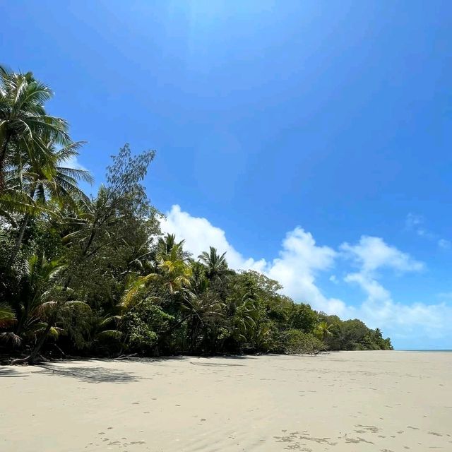 Daintree Rainforest, Queensland