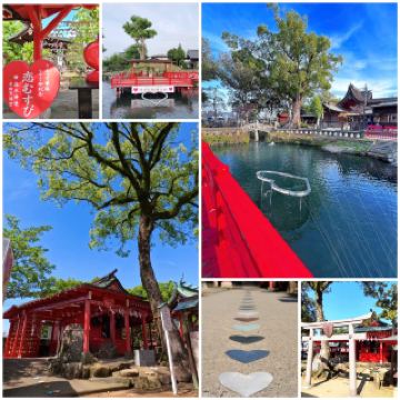 เมื่อคุณอยู่ในศาลเจ้าโคอิโนกิ คุณจะรู้สึกถึงความรักที่อบอวลอยู่รอบตัว