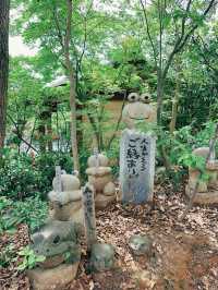 超多可愛青蛙🥰福岡青蛙寶地全攻略❤️❤️