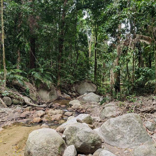 A Journey Through Mossman Gorge