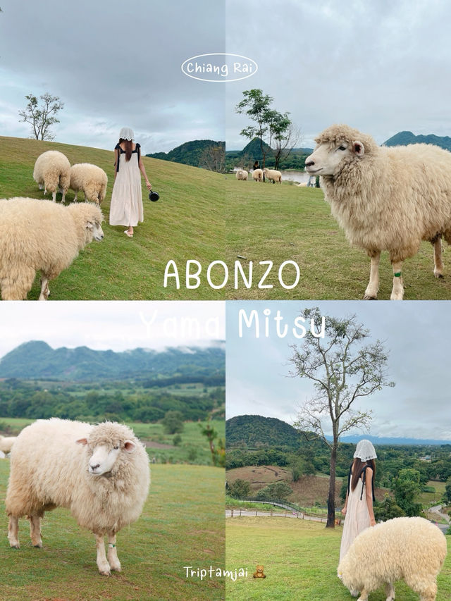 เที่ยวเชียงราย 3 วัน 2 คืน 🧸🍃