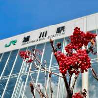 Gateway to Hokkaido’s Scenic Wonders