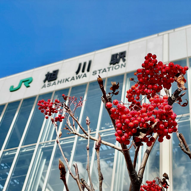 Gateway to Hokkaido’s Scenic Wonders