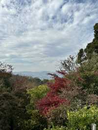 【栃木×佐野】 るろうに剣心のロケ地としても有名  紅葉 猫にも出逢える神社