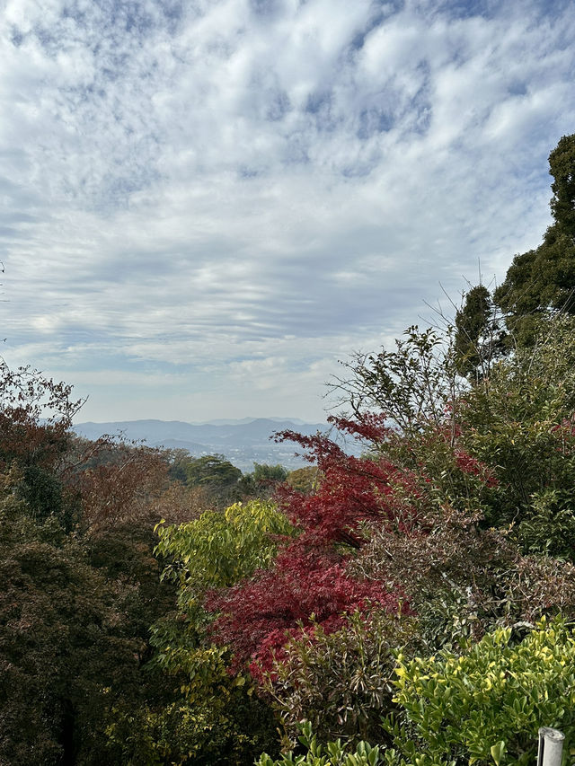 【栃木×佐野】 るろうに剣心のロケ地としても有名  紅葉 猫にも出逢える神社