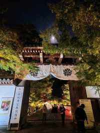 夜觀楓葉