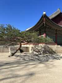 พระราชวังเคียงบกกุง Gyeongbokgung 경복궁